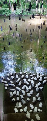 008_w_washingthoughts