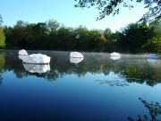 06_web_floatingclouds_06