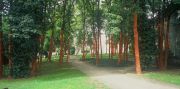 2002_foret_surpanorama