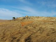 Desertstar in the morning