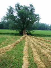 Verso l´Inizio, Pordenone 2008