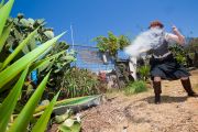 20110727_moe-cactus_088