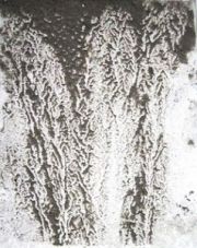 5thumbs_Prime_hook_LRes_mud