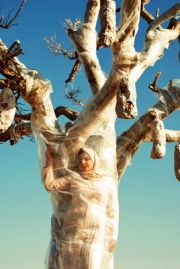 tree-spirit-2
