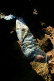 woman-fish-f-alamshah-2