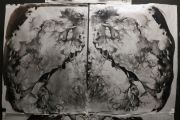 Mirrored-1