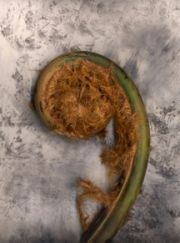 2012-03-03-15-23-39-3