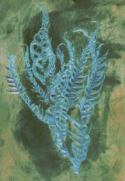 2012-03-03-15-23-40-1