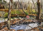 Beaver-Dam-at-GolfCourseWinter2022px960