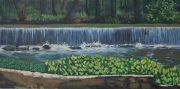 ShoalCreekMillPondJune2020_960px