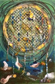 Pacific Gyre - Albatross Eat the Pretty Plastic Things