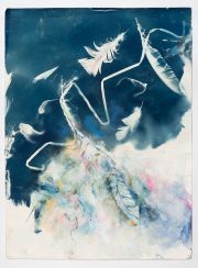 2019_FallingFeathers-1_CyanotypeAcrylicOnPaper_30X22small