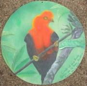 andean-cock-of-the-rock-r