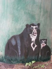 spectacled-bear-cub2
