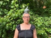 pigeon