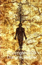 DEEP ECOLOGY (Detail)