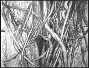 tangled-with-border