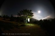firefly-work-by-atefeh-khas-2012-abrjungle-4