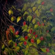 Rosehips