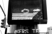 9_two-sacs-en-route-ny-detail-1