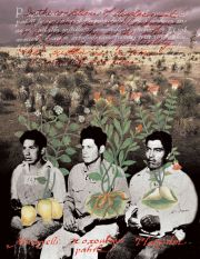 badiusbotnicals_braceros