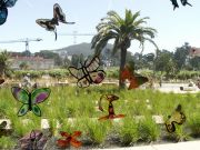 KONICA MINOLTA DIGITAL CAMERA