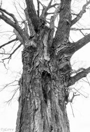 bawt-exhibit-photo_9_the-gathering-1-of-1