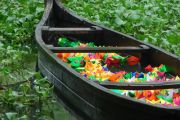 beauty-of-water-01
