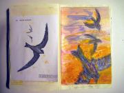 swifts