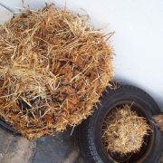 27807_390506979441_327770059441_4000232_5397166_n