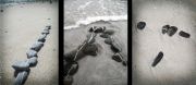 pebblelines