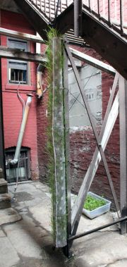 02-brody_seedposts