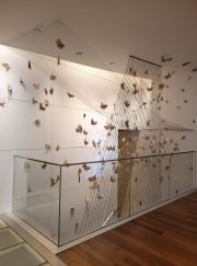 FULLClimageChange_MonarchMigrations