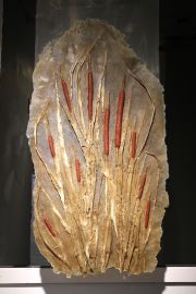 MicheleBrody_Fragment_fromA_Lost_Marshland