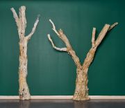 MicheleBrody_GhostedAmericanChestnut_Photo©MarkShaw