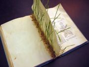 Grass Book