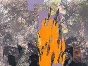 Disasters of Environment-Forest Fire