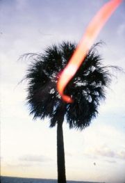 tampa-fl-6-99_flip