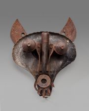 Endangered Gray Wolf