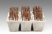 Engineered Seedlings