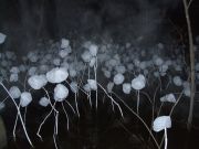 3-and-they-lived-happily-ever-after-1