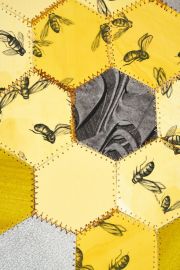 ColonyCollapseDet1sm