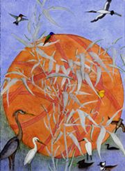 circle-of-life-svpt-wc