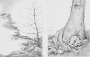 creighton-roots-diptych-silverpoint