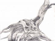 j-cook-natures-voids-silverpoint