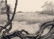 the-marshes-of-mcintosh-graphite