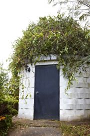 Space Invaders: Alien Species