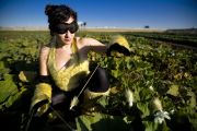 The Pollinatrix (Crooked Sky Farms, Phoenix, AZ)