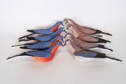 DanielleKunkel_ByeByeBirdies-Passenger-Pigeons