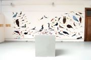 DanielleKunkel_ByeByeBirdies-wall1